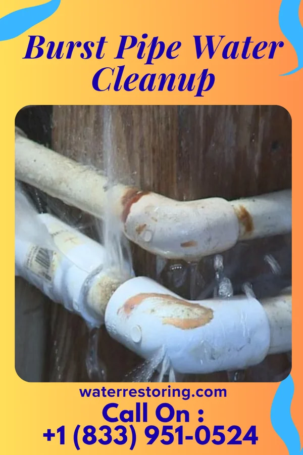 Burst Pipe Water Cleanup in Skamokawa Valley, WA