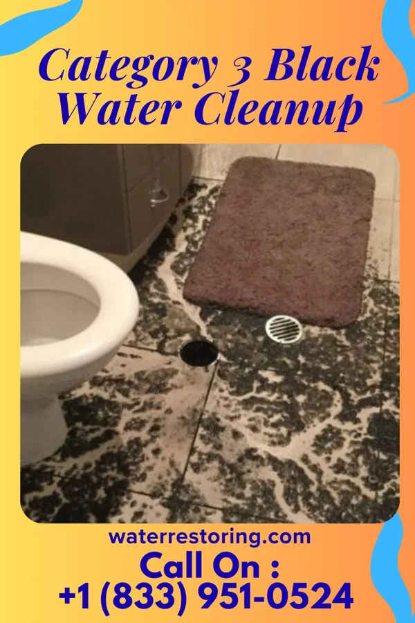 Category 3 Black Water Cleanup in Skamokawa Valley, WA