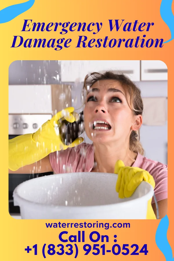 Emergency Water Damage Restoration in Skamokawa Valley, WA