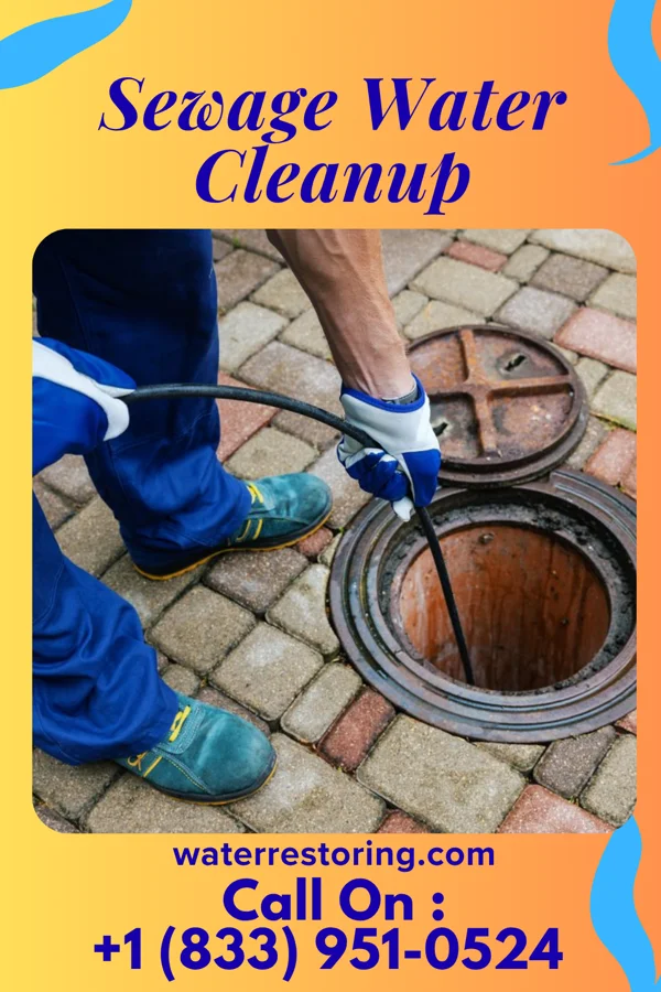 Sewage Water Cleanup in Skamokawa Valley, WA